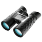 Steiner BluHorizons 10x42 Binocular